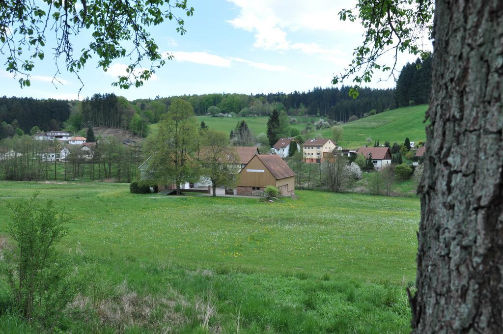 Ferienwohnungen Zur Mühle Mossautal Exterior foto